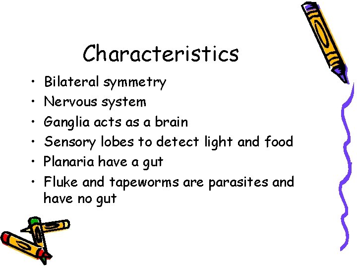 Characteristics • • • Bilateral symmetry Nervous system Ganglia acts as a brain Sensory