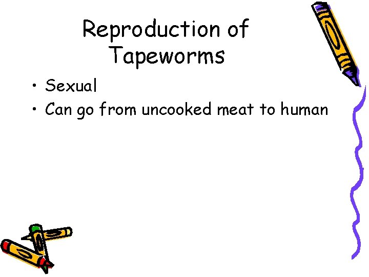Reproduction of Tapeworms • Sexual • Can go from uncooked meat to human 