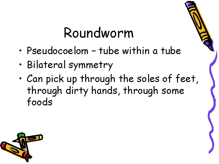 Roundworm • Pseudocoelom – tube within a tube • Bilateral symmetry • Can pick