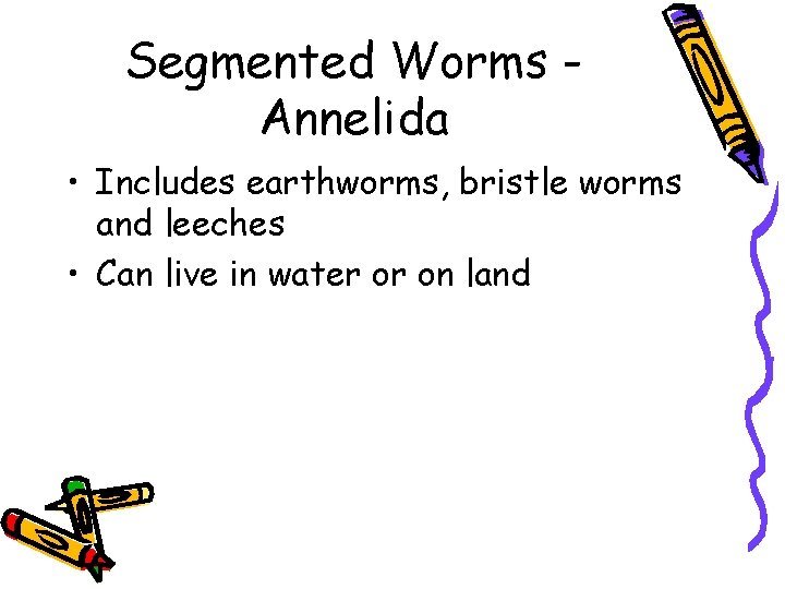 Segmented Worms Annelida • Includes earthworms, bristle worms and leeches • Can live in