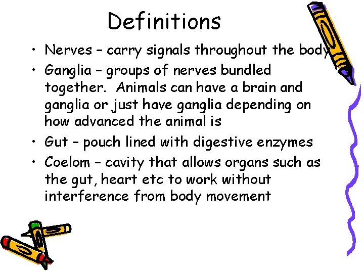 Definitions • Nerves – carry signals throughout the body • Ganglia – groups of