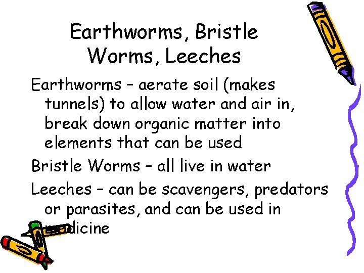 Earthworms, Bristle Worms, Leeches Earthworms – aerate soil (makes tunnels) to allow water and