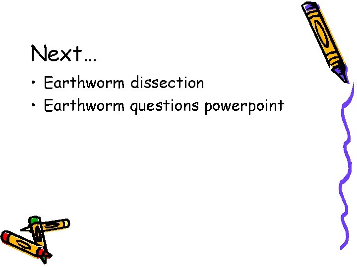 Next… • Earthworm dissection • Earthworm questions powerpoint 