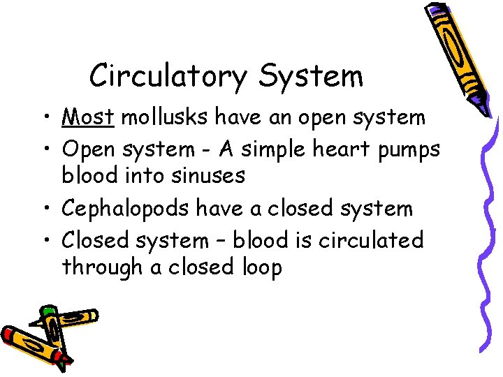 Circulatory System • Most mollusks have an open system • Open system - A