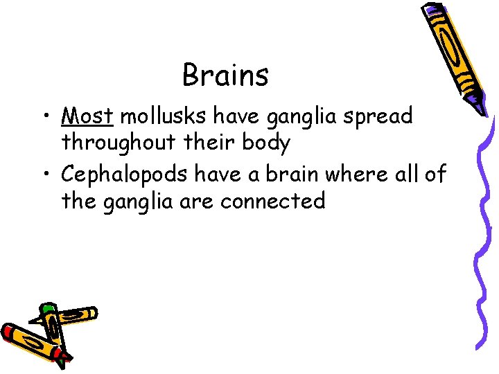 Brains • Most mollusks have ganglia spread throughout their body • Cephalopods have a
