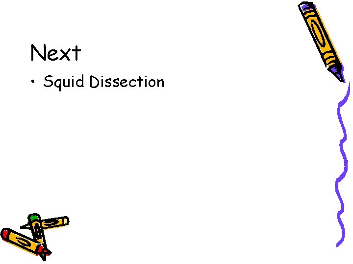 Next • Squid Dissection 