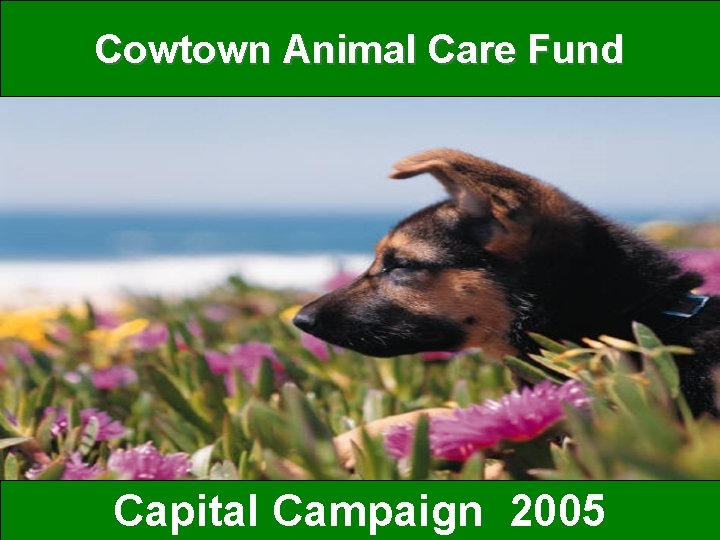 Cowtown Animal Care Fund Capital Campaign 2005 