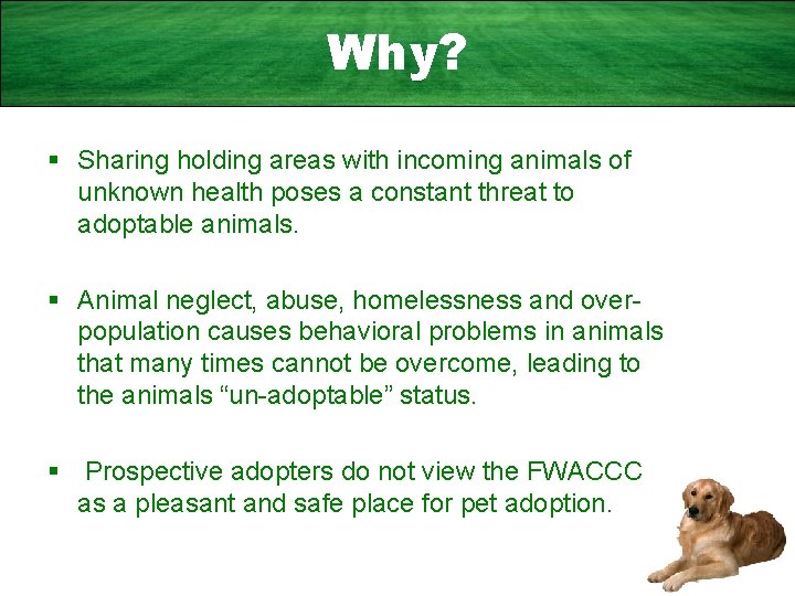 Why? § Sharing holding areas with incoming animals of unknown health poses a constant