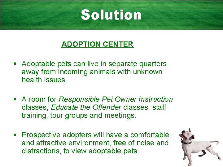 Solution ADOPTION CENTER § Adoptable pets can live in separate quarters away from incoming
