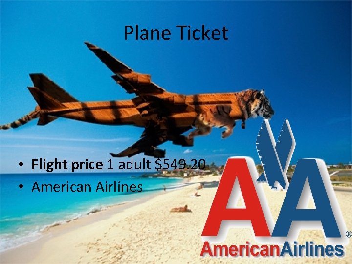 Plane Ticket • Flight price 1 adult $549. 20 • American Airlines 