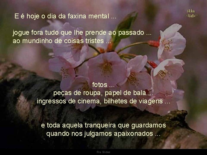 E é hoje o dia da faxina mental. . . jogue fora tudo que