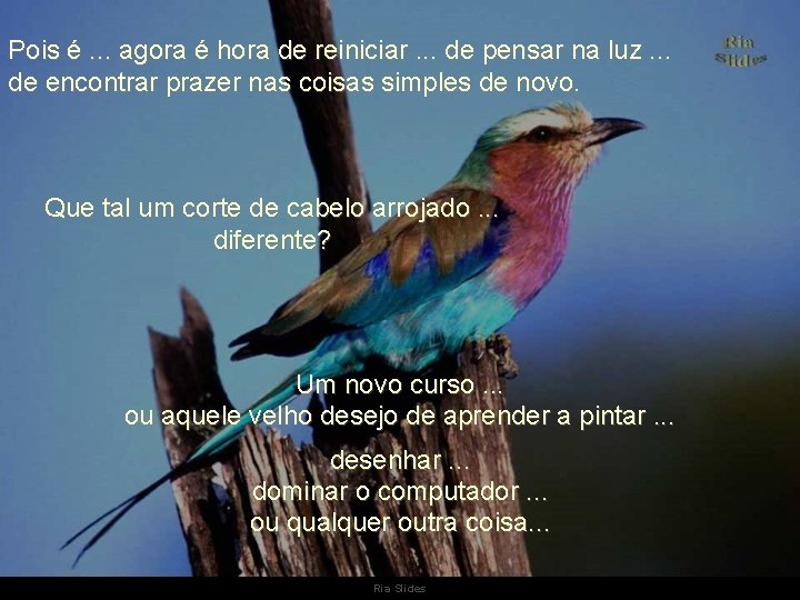 Pois é. . . agora é hora de reiniciar. . . de pensar na