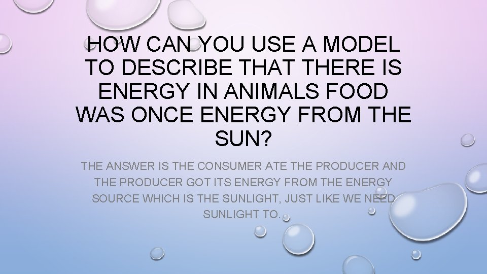 HOW CAN YOU USE A MODEL TO DESCRIBE THAT THERE IS ENERGY IN ANIMALS