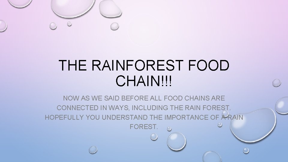 THE RAINFOREST FOOD CHAIN!!! NOW AS WE SAID BEFORE ALL FOOD CHAINS ARE CONNECTED