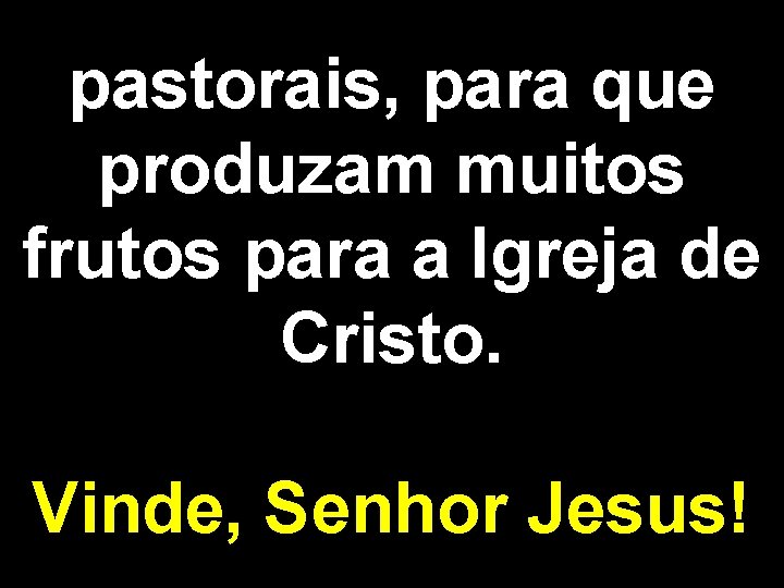 pastorais, para que produzam muitos frutos para a Igreja de Cristo. Vinde, Senhor Jesus!