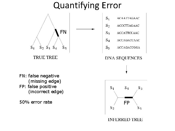 Quantifying Error Tree Estimating species trees from multiple gene trees in