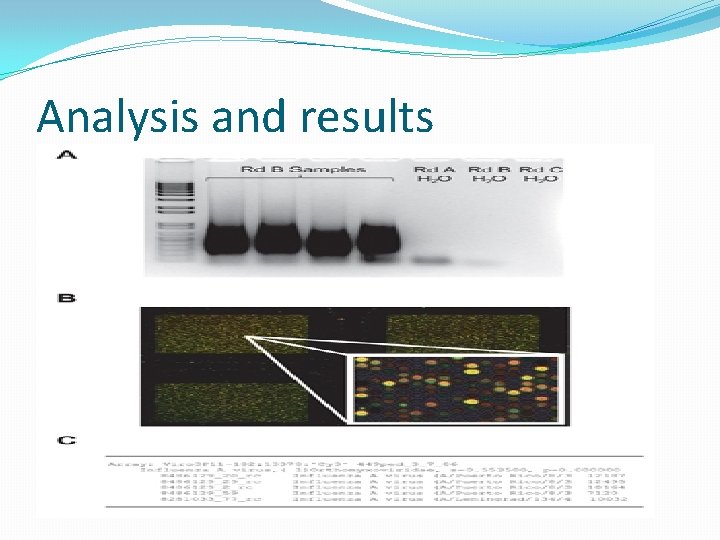 Analysis and results 
