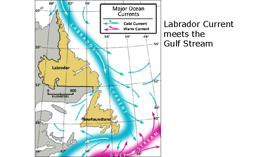 Labrador Current meets the Gulf Stream 