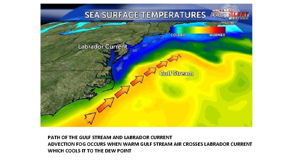 PATH OF THE GULF STREAM AND LABRADOR CURRENT ADVECTION FOG OCCURS WHEN WARM GULF