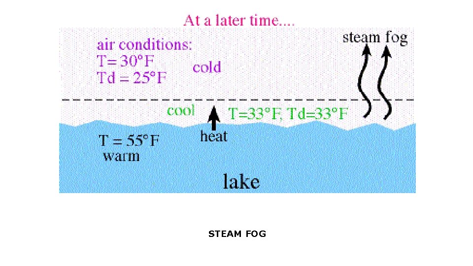 STEAM FOG 
