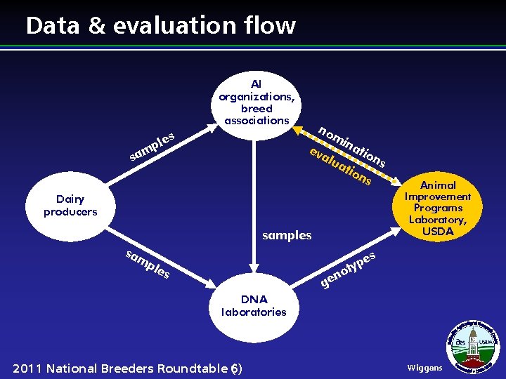 Data & evaluation flow AI organizations, breed associations les no mi na ev tio