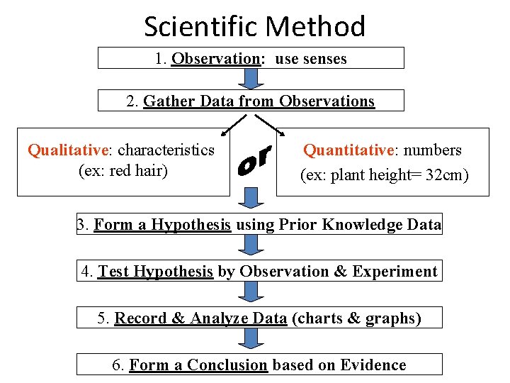 Scientific Method 1. Observation: use senses 2. Gather Data from Observations Qualitative: characteristics (ex: