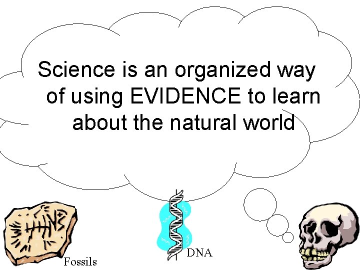 Science is an organized way of using EVIDENCE to learn about the natural world