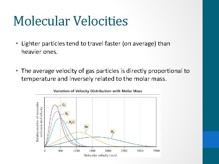 Molecular Velocities • Lighter particles tend to travel faster (on average) than heavier ones.