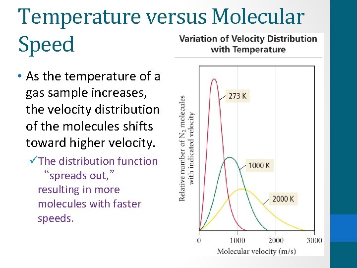 Temperature versus Molecular Speed • As the temperature of a gas sample increases, the