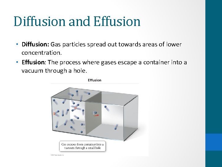 Diffusion and Effusion • Diffusion: Gas particles spread out towards areas of lower concentration.