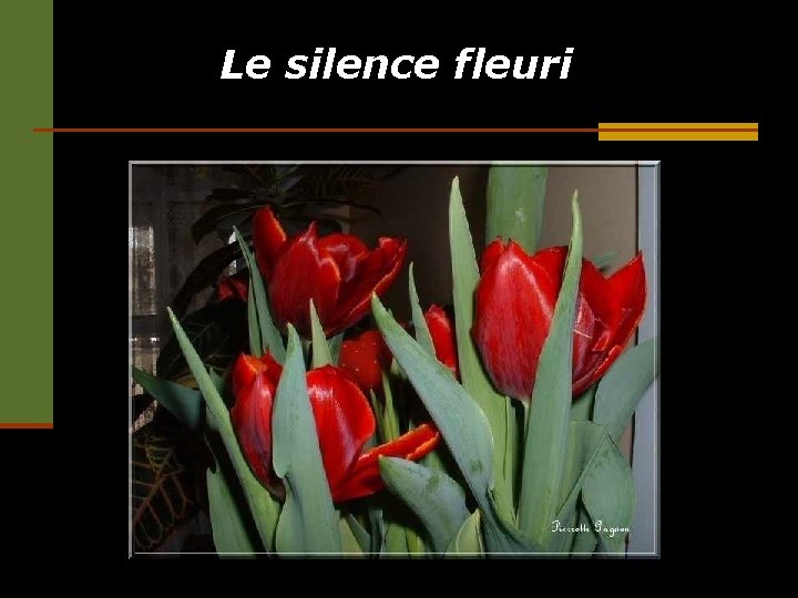 Le silence fleuri 