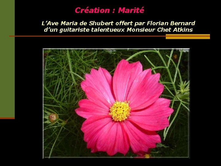 Création : Marité L’Ave Maria de Shubert offert par Florian Bernard d’un guitariste talentueux