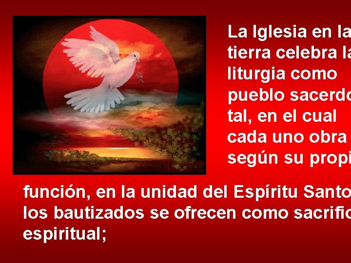 La Iglesia en la tierra celebra la liturgia como pueblo sacerdo tal, en el