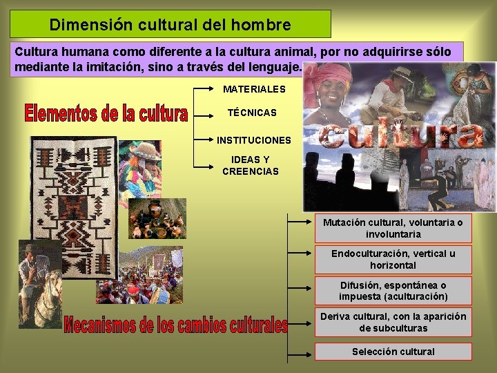 Dimensión cultural del hombre Cultura humana como diferente a la cultura animal, por no