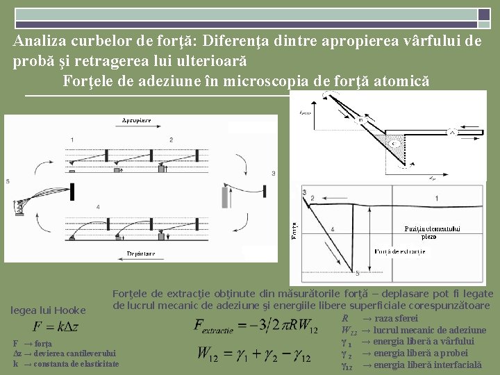 Analiza curbelor de forţă: Diferenţa dintre apropierea vârfului de probă şi retragerea lui ulterioară Analiza curbelor de forţă: Diferenţa dintre apropierea vârfului de probă şi retragerea lui ulterioară