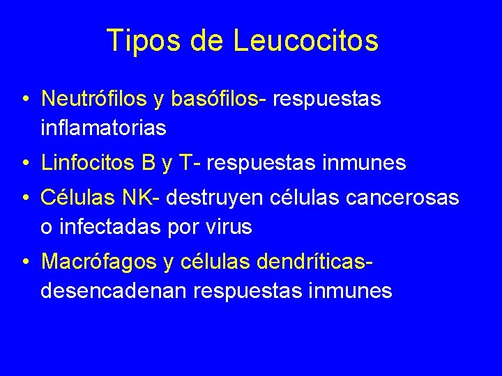 Tipos de Leucocitos • Neutrófilos y basófilos- respuestas inflamatorias • Linfocitos B y T-