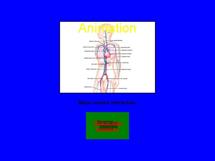 Animation Major vessels interaction. Click to view animation. 