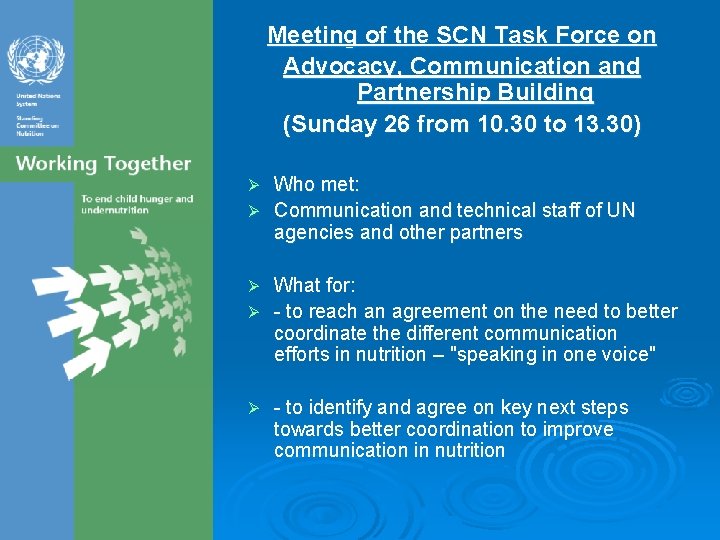 Meeting of the SCN Task Force on Advocacy, Communication and Partnership Building (Sunday 26