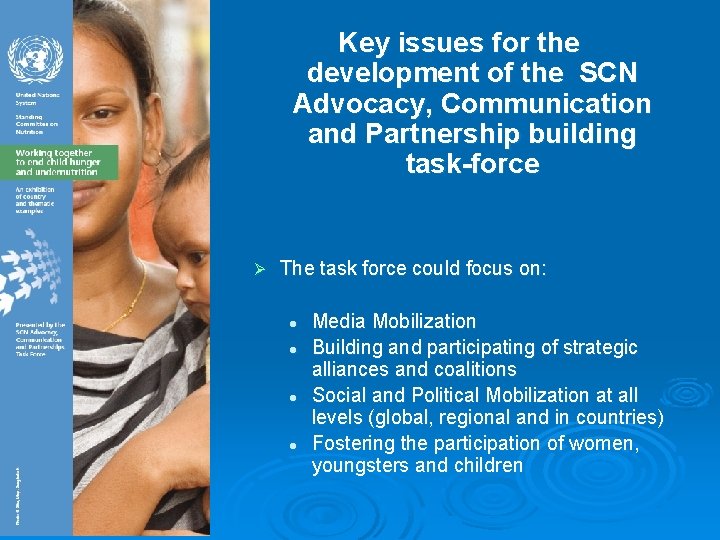 Key issues for the development of the SCN Advocacy, Communication and Partnership building task-force