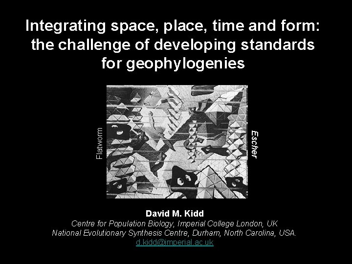 Escher Flatworm Integrating space, place, time and form: the challenge of developing standards for