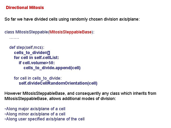 Directional Mitosis So far we have divided cells using randomly chosen division axis/plane: class