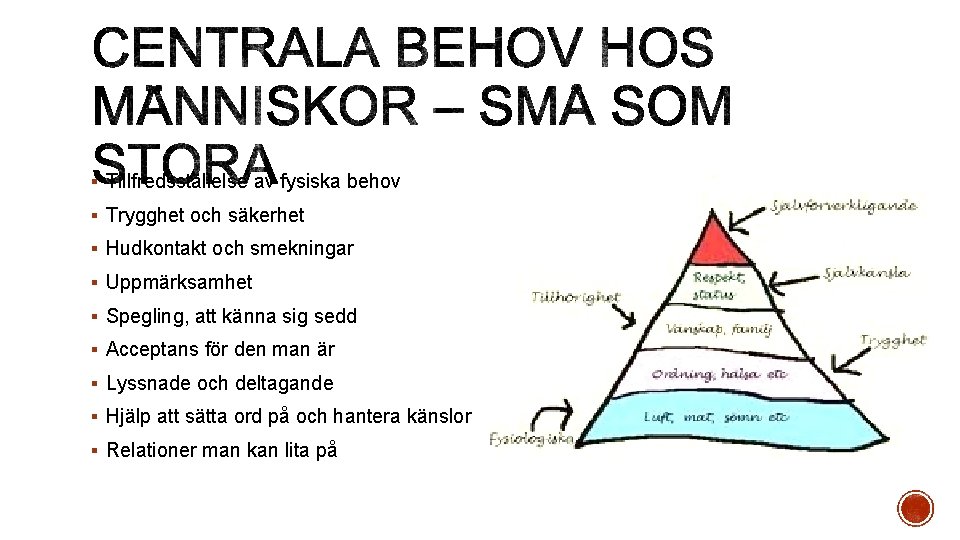 § Tillfredsställelse av fysiska behov § Trygghet och säkerhet § Hudkontakt och smekningar §