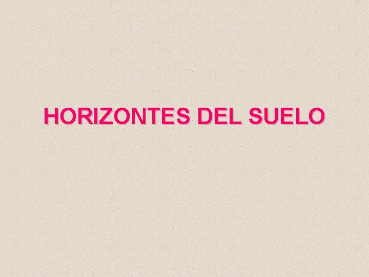 HORIZONTES DEL SUELO 