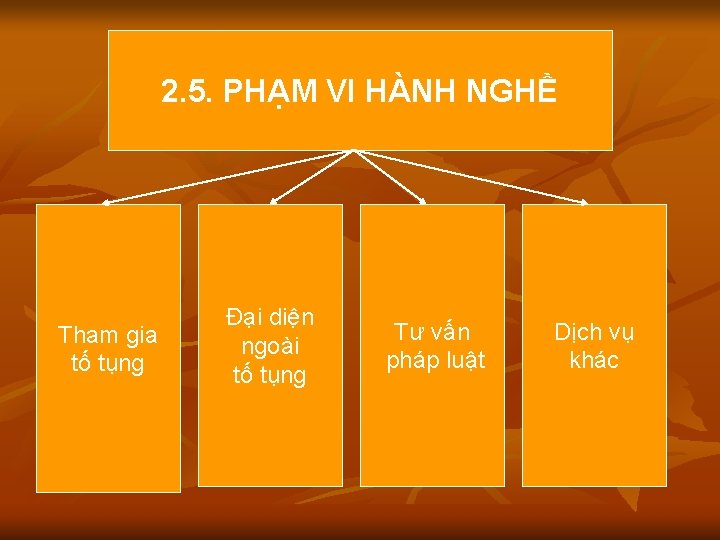 2. 5. PHẠM VI HÀNH NGHỀ Tham gia tố tụng Đại diện ngoài tố 2. 5. PHẠM VI HÀNH NGHỀ Tham gia tố tụng Đại diện ngoài tố