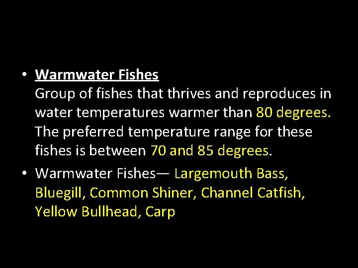  • Warmwater Fishes Group of fishes that thrives and reproduces in water temperatures