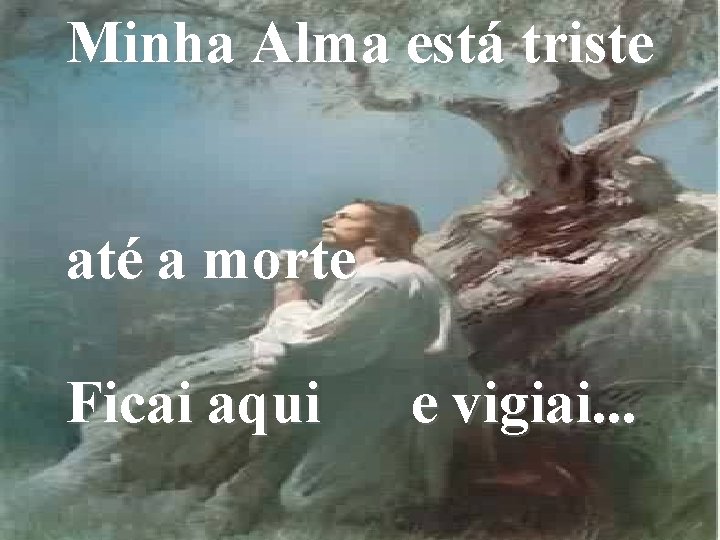 Minha Alma está triste até a morte Ficai aqui e vigiai. . . 