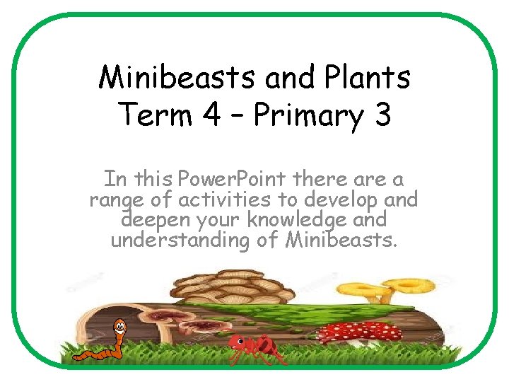 Minibeasts and Plants Term 4 – Primary 3 In this Power. Point there a