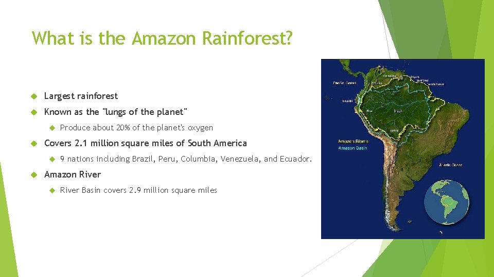 What is the Amazon Rainforest? Largest rainforest Known as the "lungs of the planet"