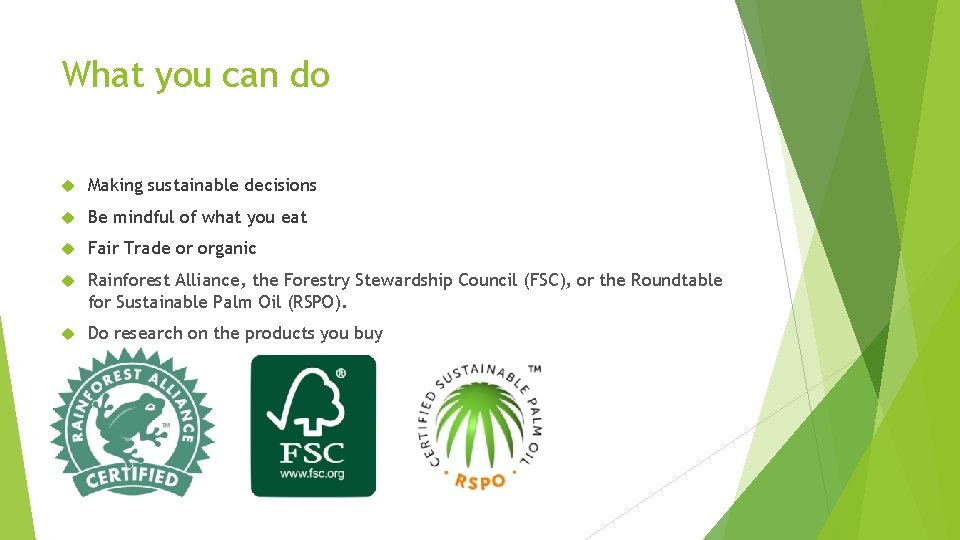 What you can do Making sustainable decisions Be mindful of what you eat Fair