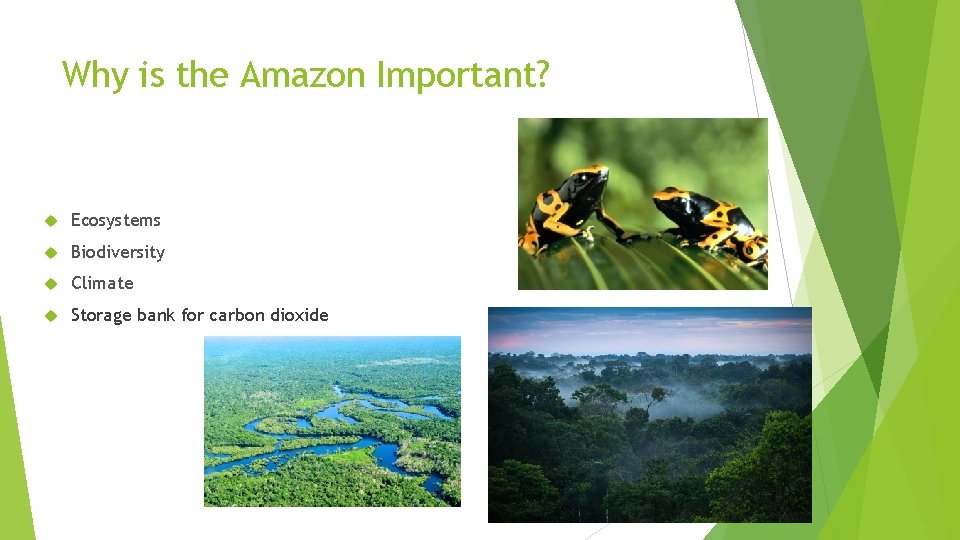 Why is the Amazon Important? Ecosystems Biodiversity Climate Storage bank for carbon dioxide 